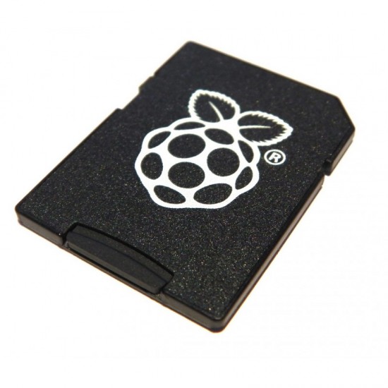 Raspberry Pi 4B/3B+ SD Card 32GB