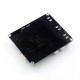 VHM-302 Bluetooth PA Board TPA3116D2