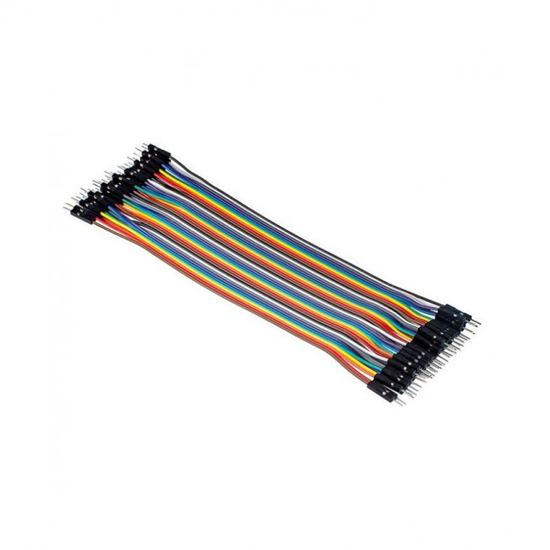 40P DuPont Cable Double Head 1P 30CM Male to Male