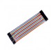 40P DuPont Cable Double Head 1P 20CM Female to Female